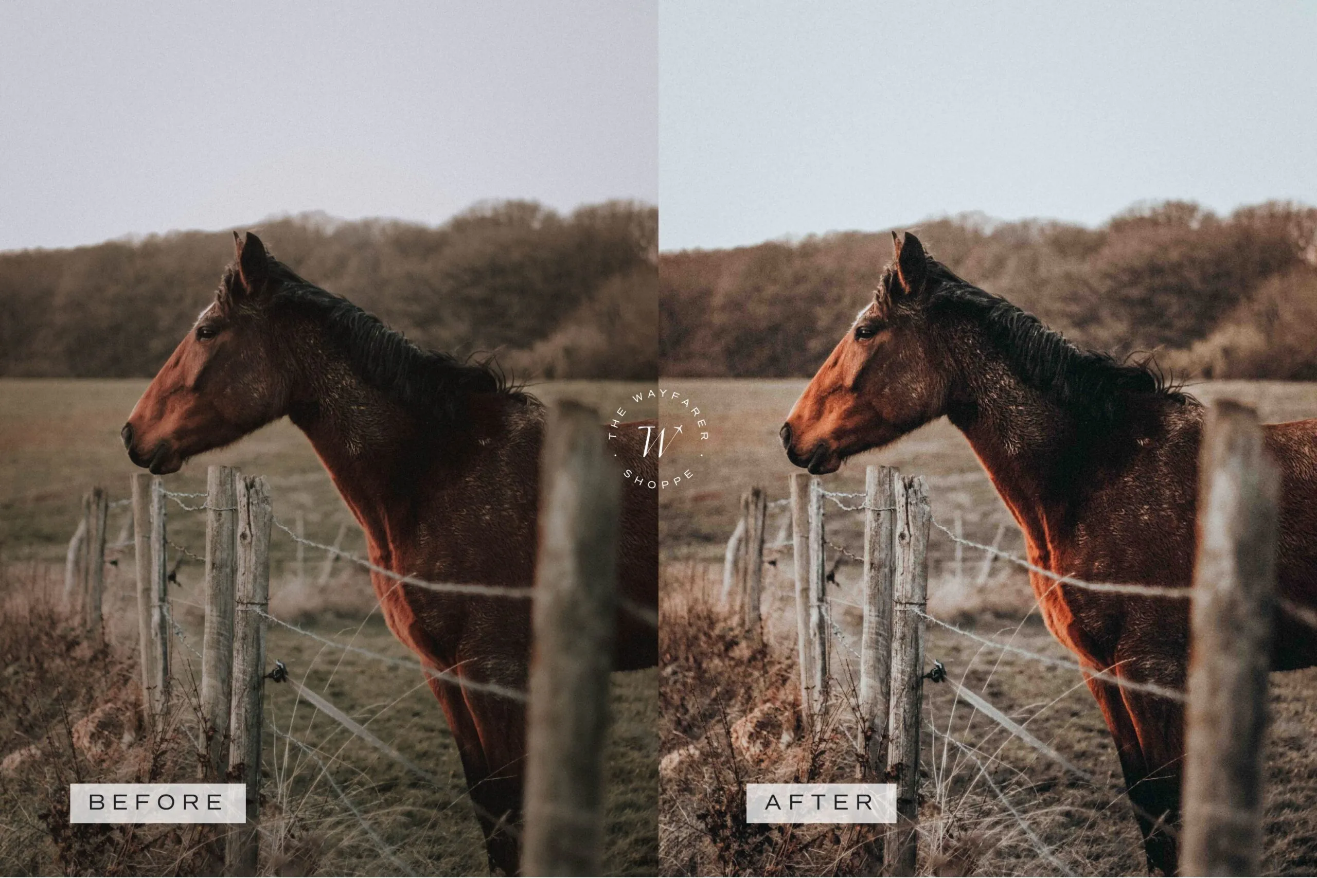 5 Fall in Love Mobile Video Filters 15 5 Fall in Love Mobile Video Filters - Image 15