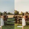 5 Honey Mobile Video Filters - Image 15