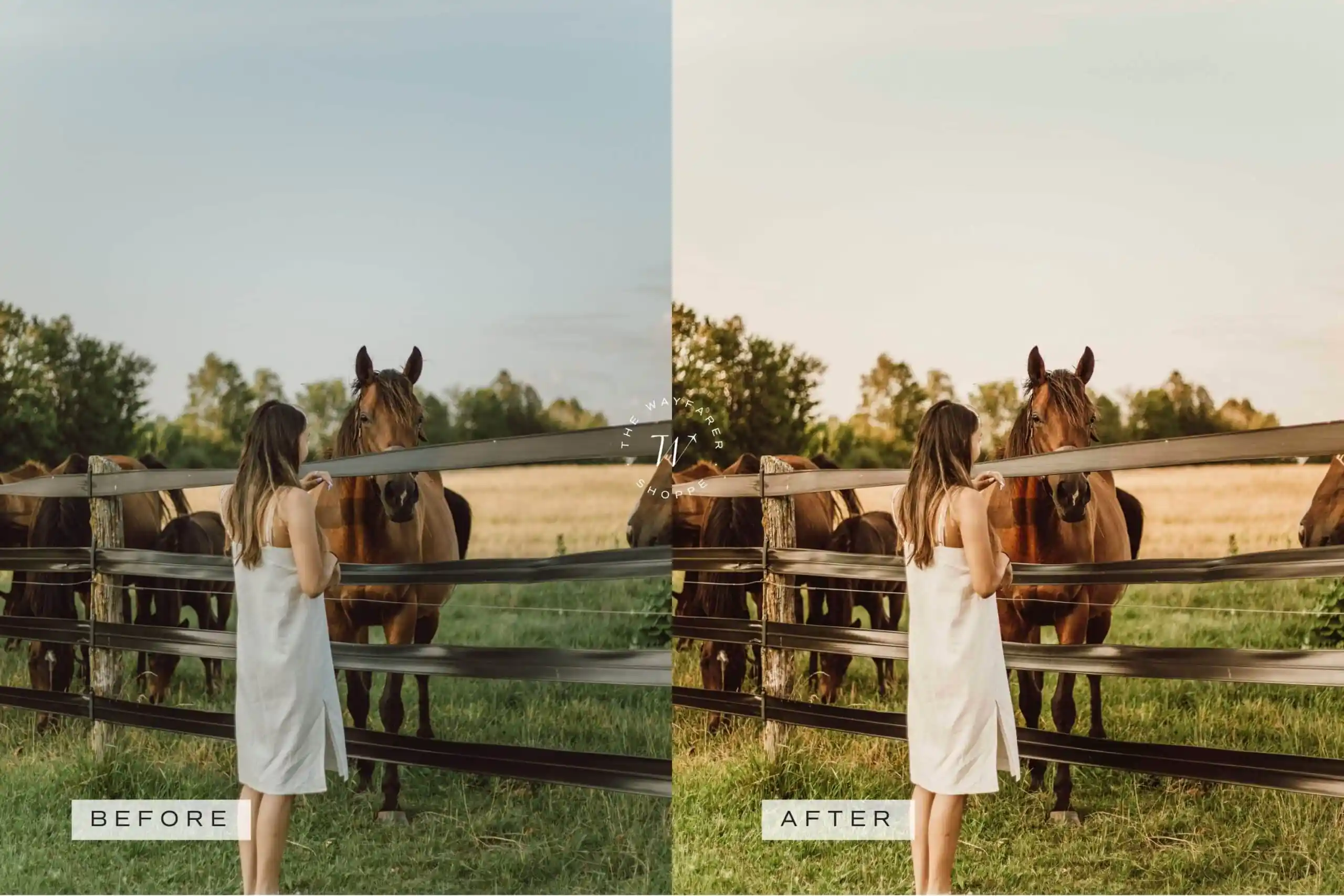 5 Honey Lightroom Presets | Mobile + Desktop 14 5 Honey Lightroom Presets | Mobile + Desktop - Image 14