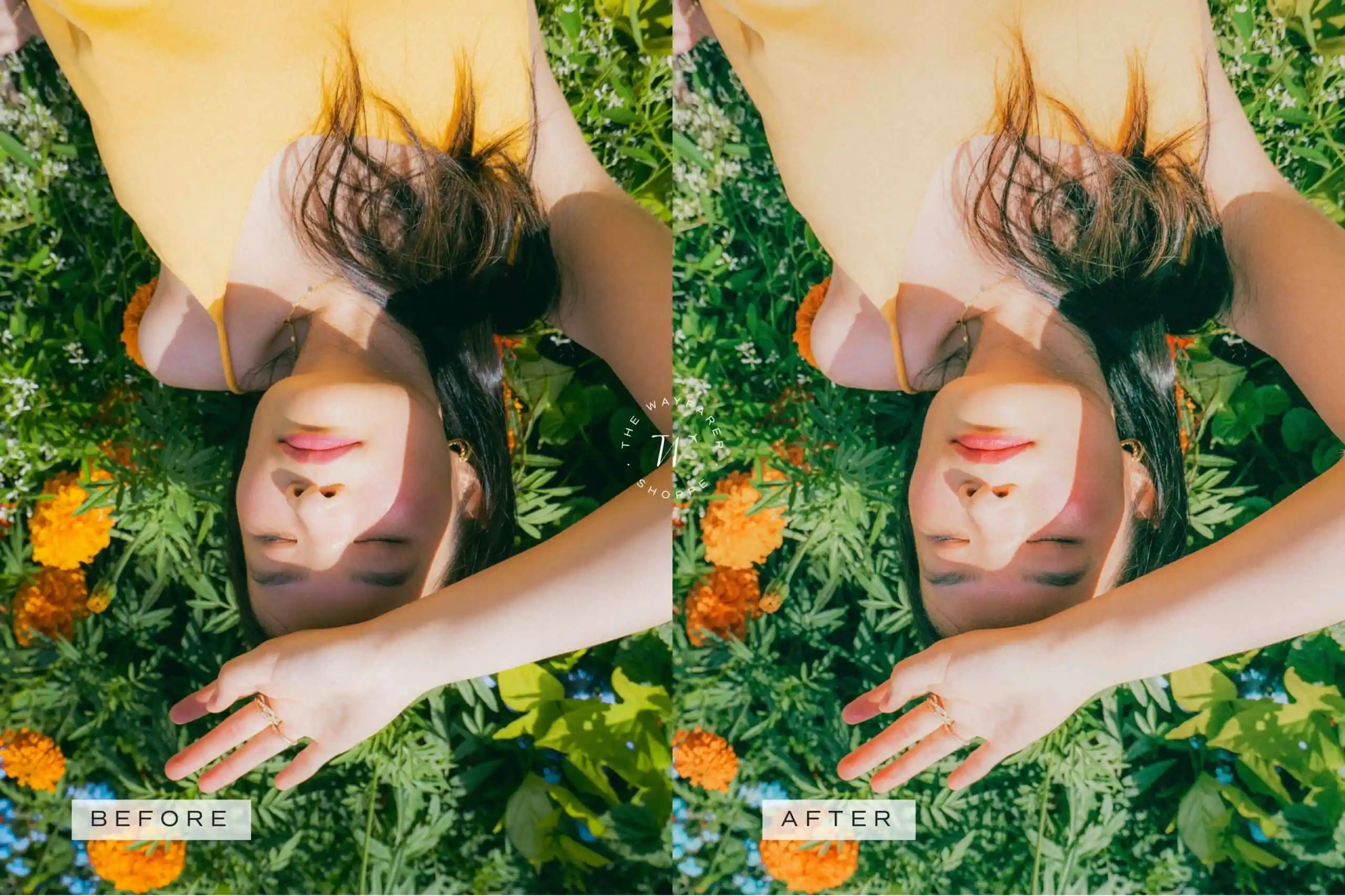 5 Aesthetics Mobile Video Filters 15 5 Aesthetics Mobile Video Filters - Image 15