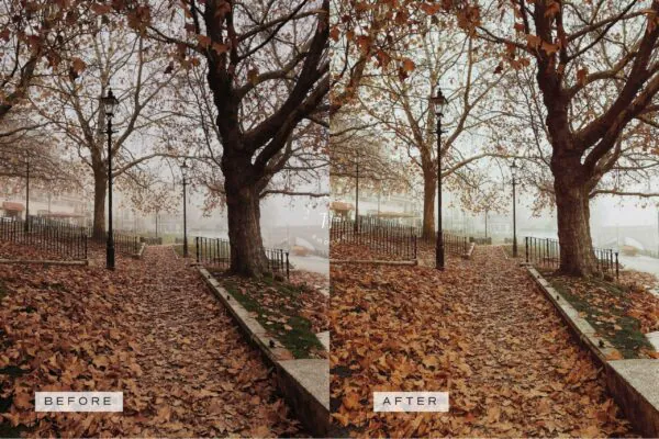 5 Fall in Love Mobile Video Filters - Image 16