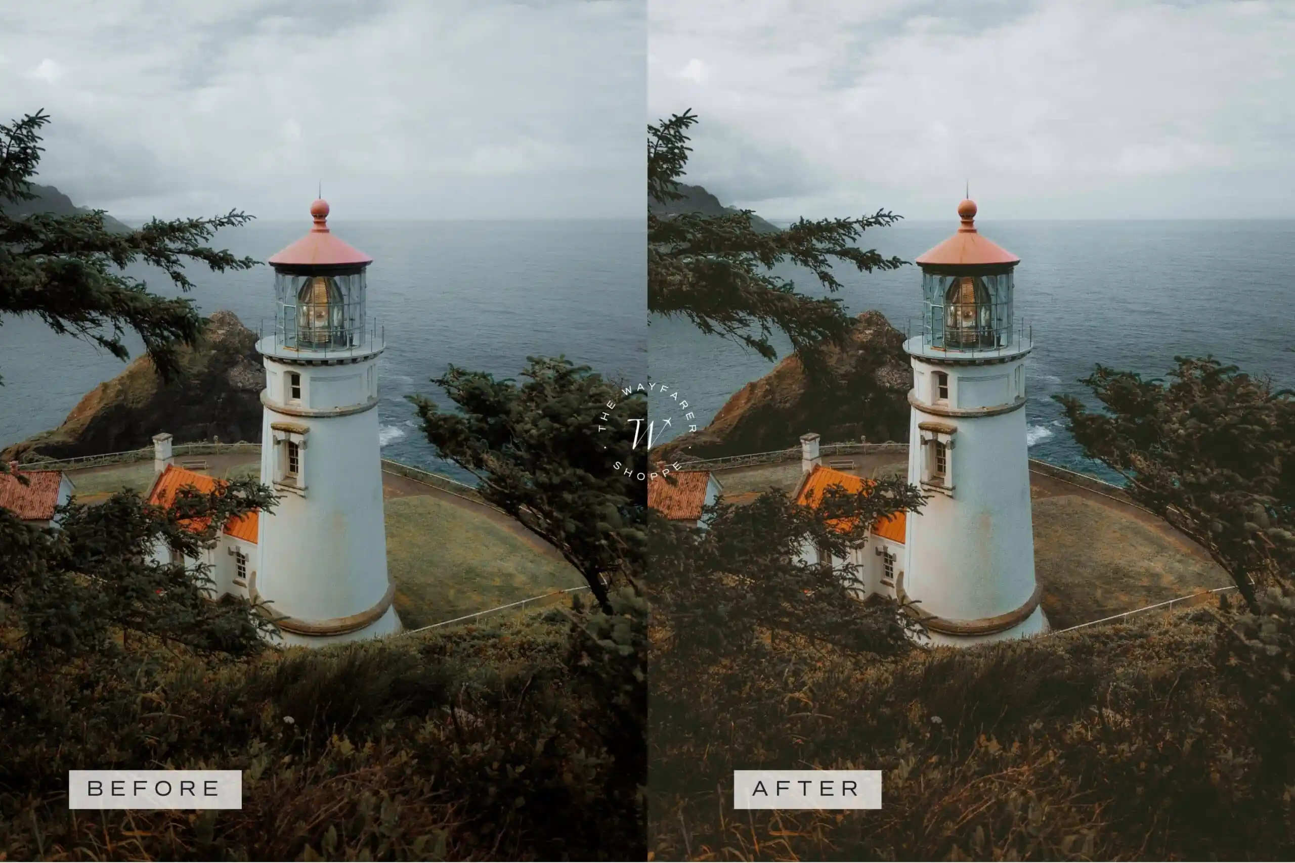 Forest Lightroom Presets + Video Filters Bundle - Image 16