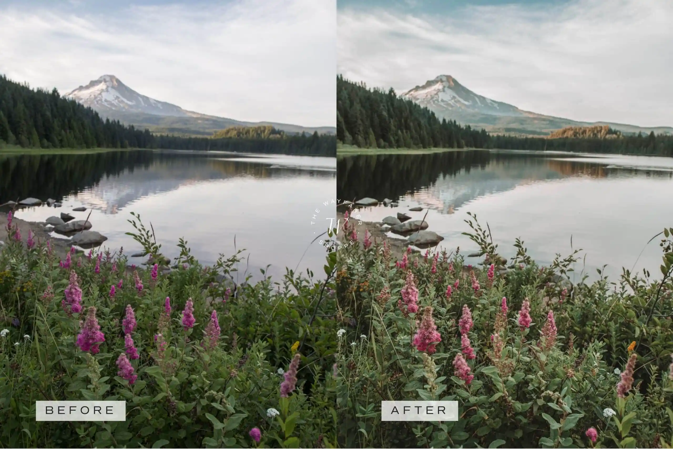 5 Decaf Lightroom Presets | Mobile +Desktop 15 5 Decaf Lightroom Presets | Mobile +Desktop - Image 15