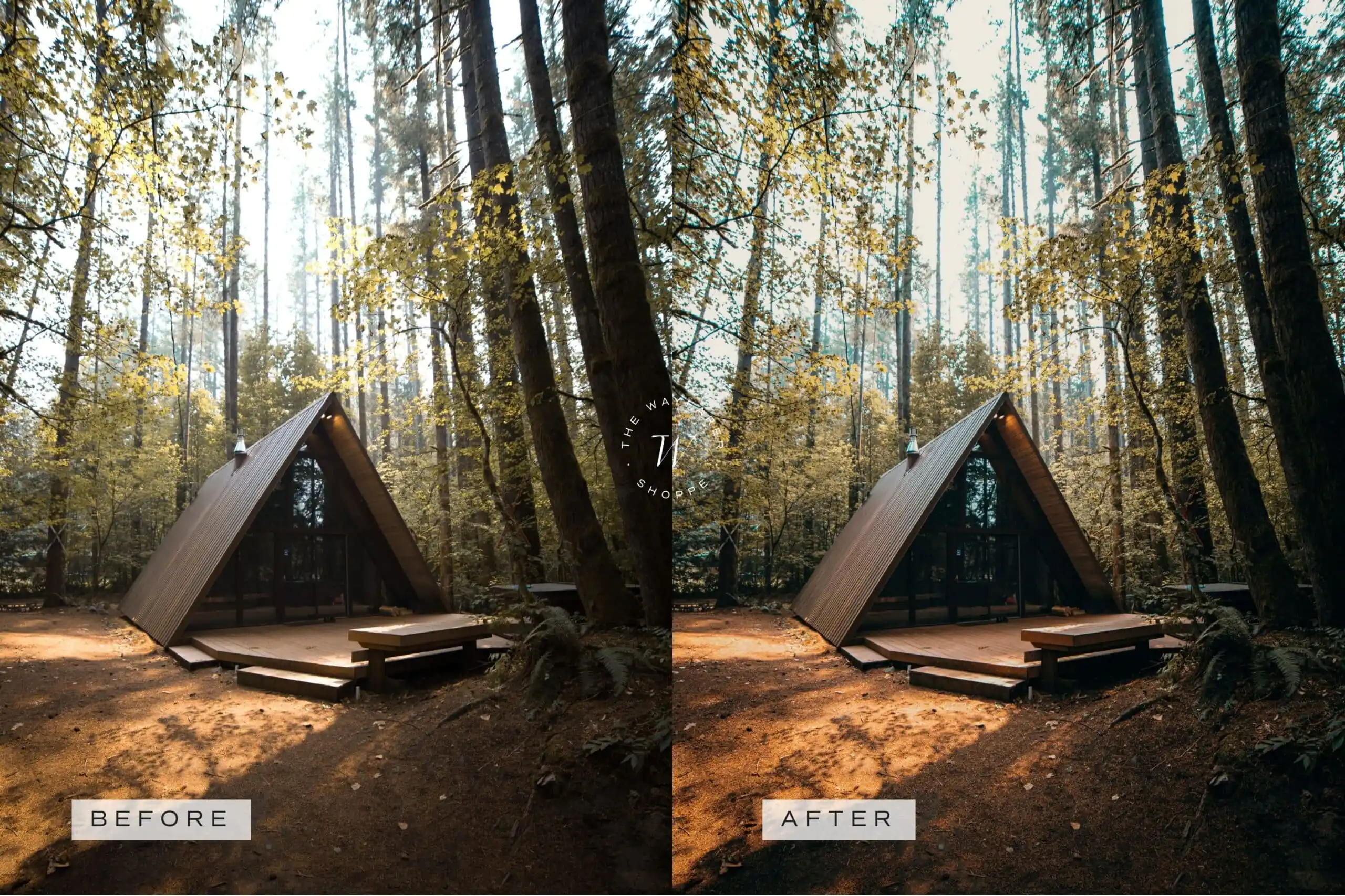 5 Woodlands Mobile Video Filters 16 5 Woodlands Mobile Video Filters - Image 16