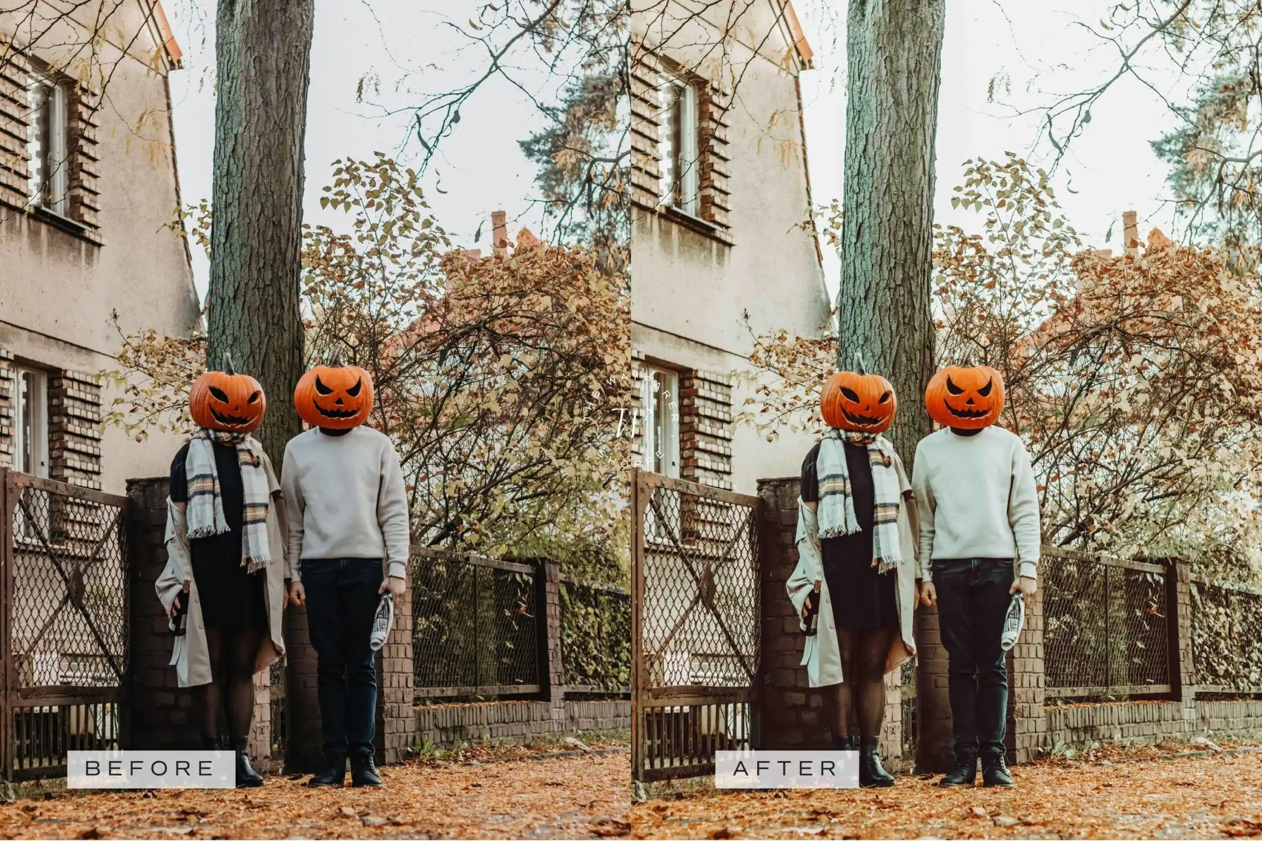 5 Fall in Love Mobile Video Filters 17 5 Fall in Love Mobile Video Filters - Image 17