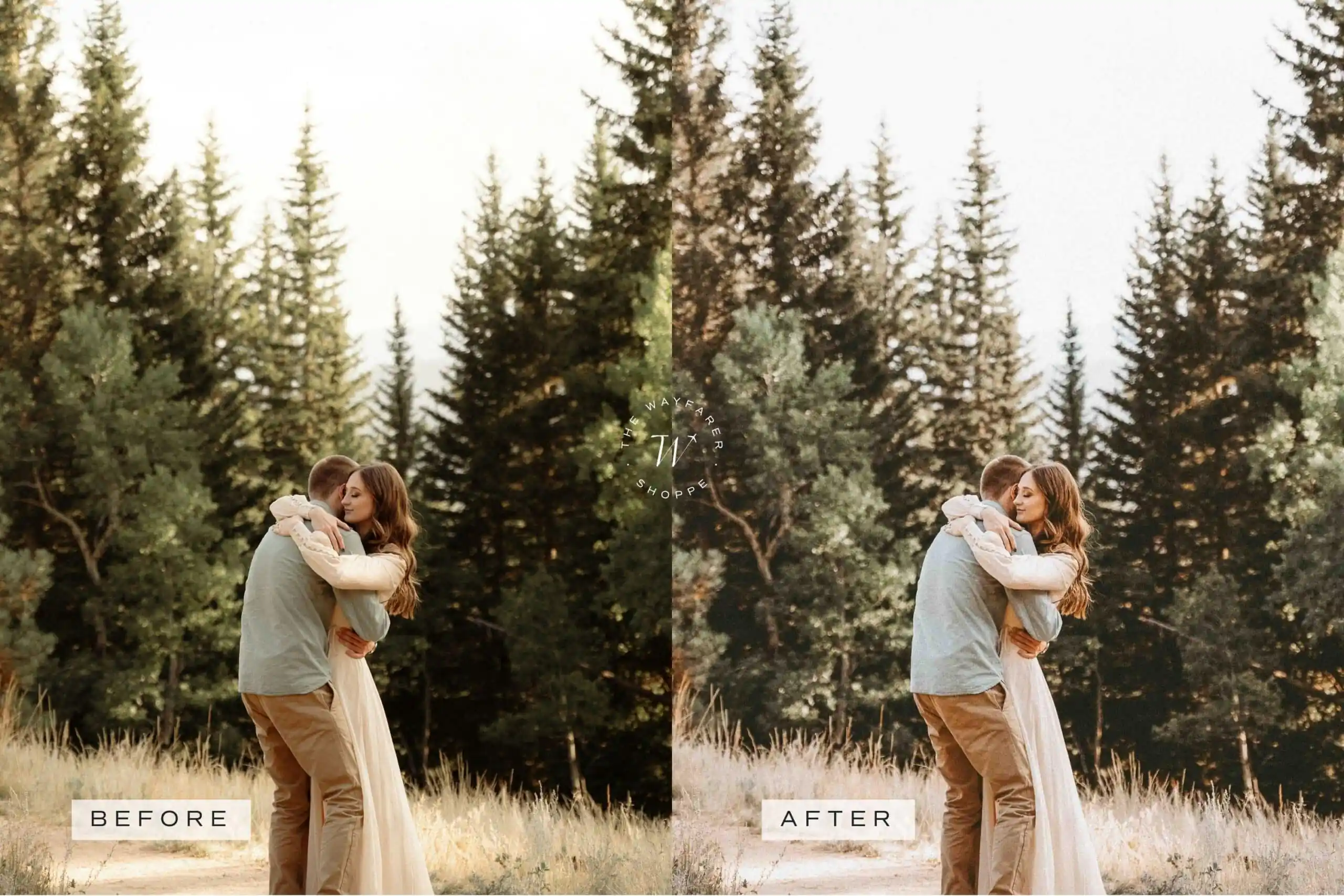 Forest Lightroom Presets + Video Filters Bundle - Image 17