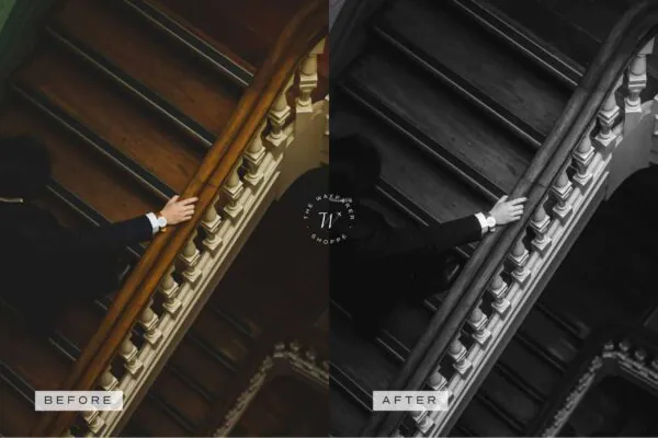 Timeless Lightroom Presets + Video Filters Bundle - Image 17