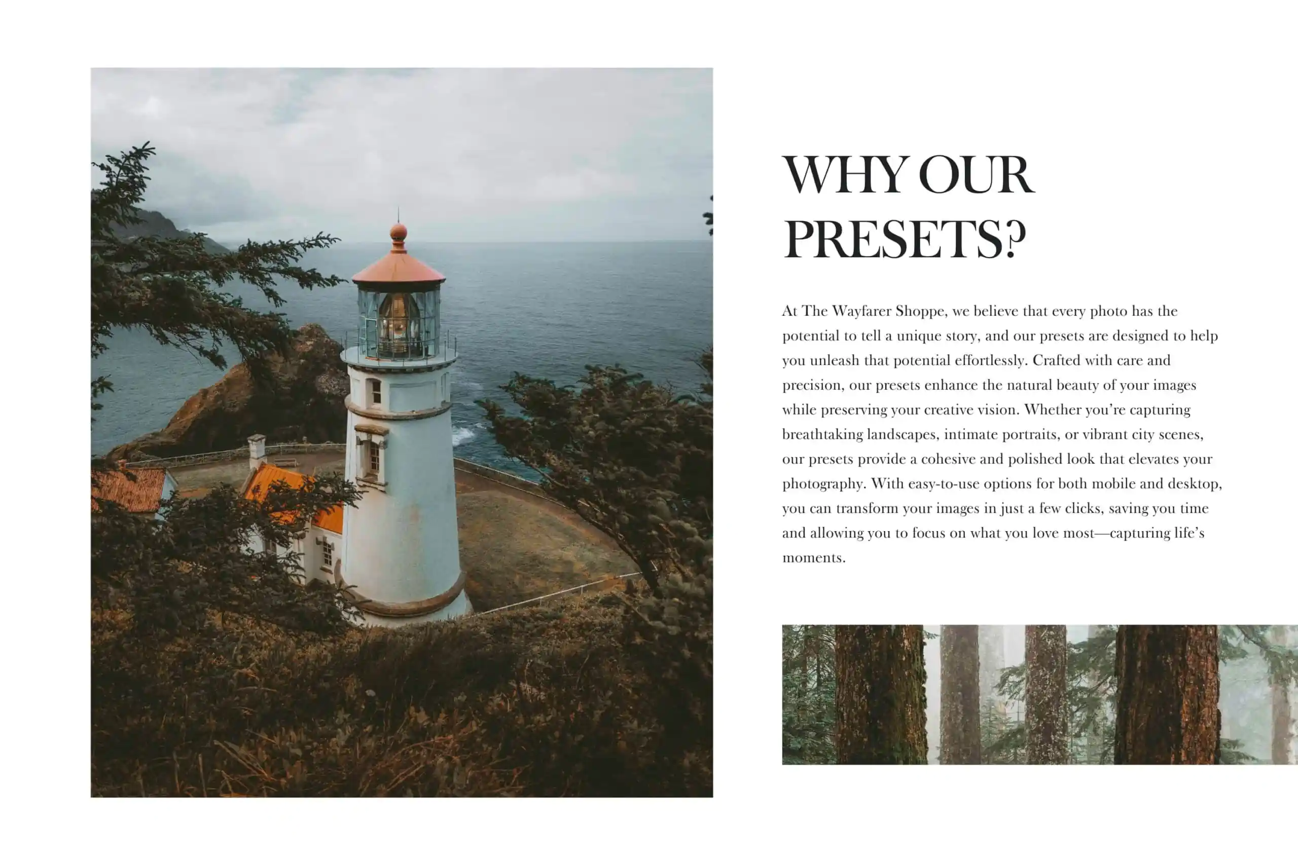 5 Forest Lightroom Presets | Mobile + Desktop - Image 17