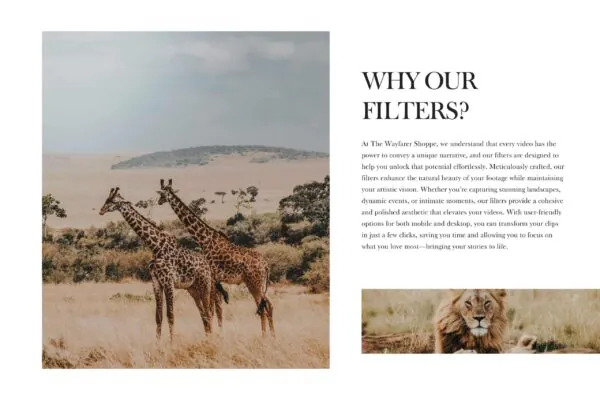 5 Safari Mobile Video Filters - Image 18