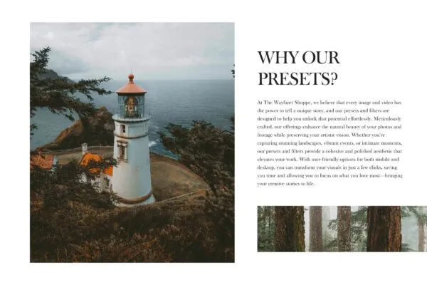 Forest Lightroom Presets + Video Filters Bundle - Image 18