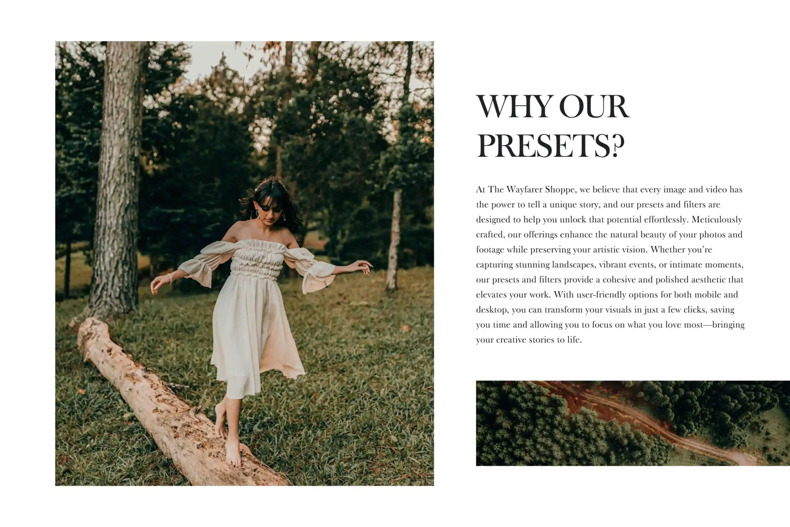 Woodlands Lightroom Presets + Video Filters Bundle - Image 18