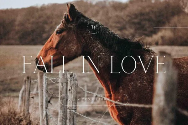 5 Fall in Love Mobile Video Filters