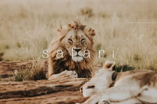 5 Safari Mobile Video Filters
