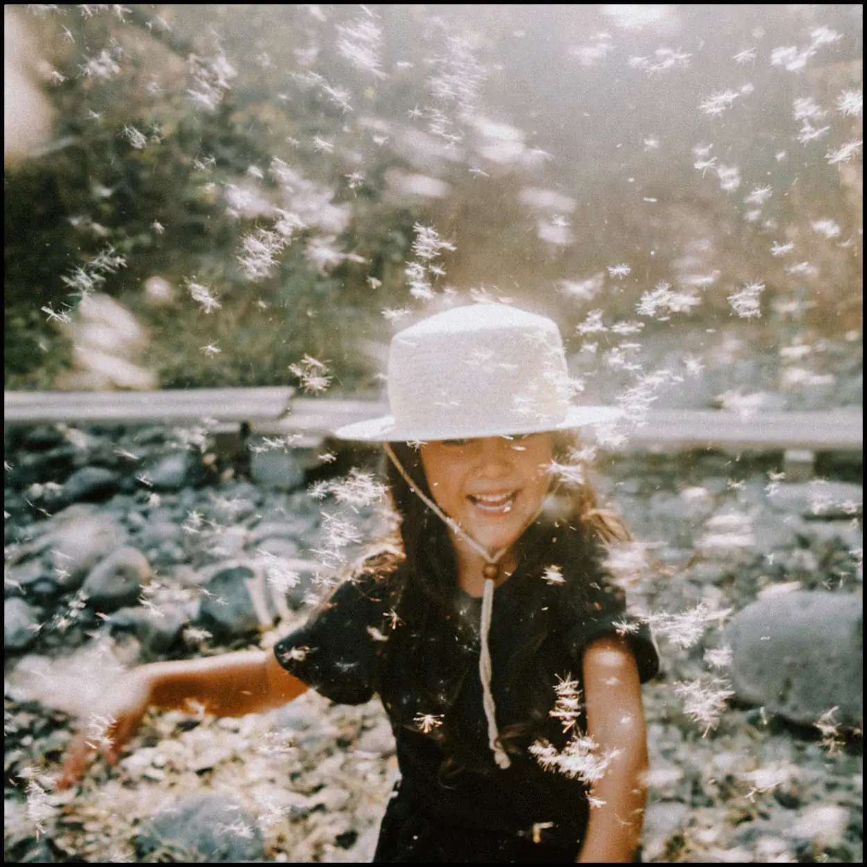 Film Preset Bundle - Image 31