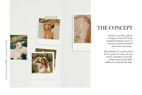 Cottagecore Lightroom Presets + Video Filters Bundle - Image 3