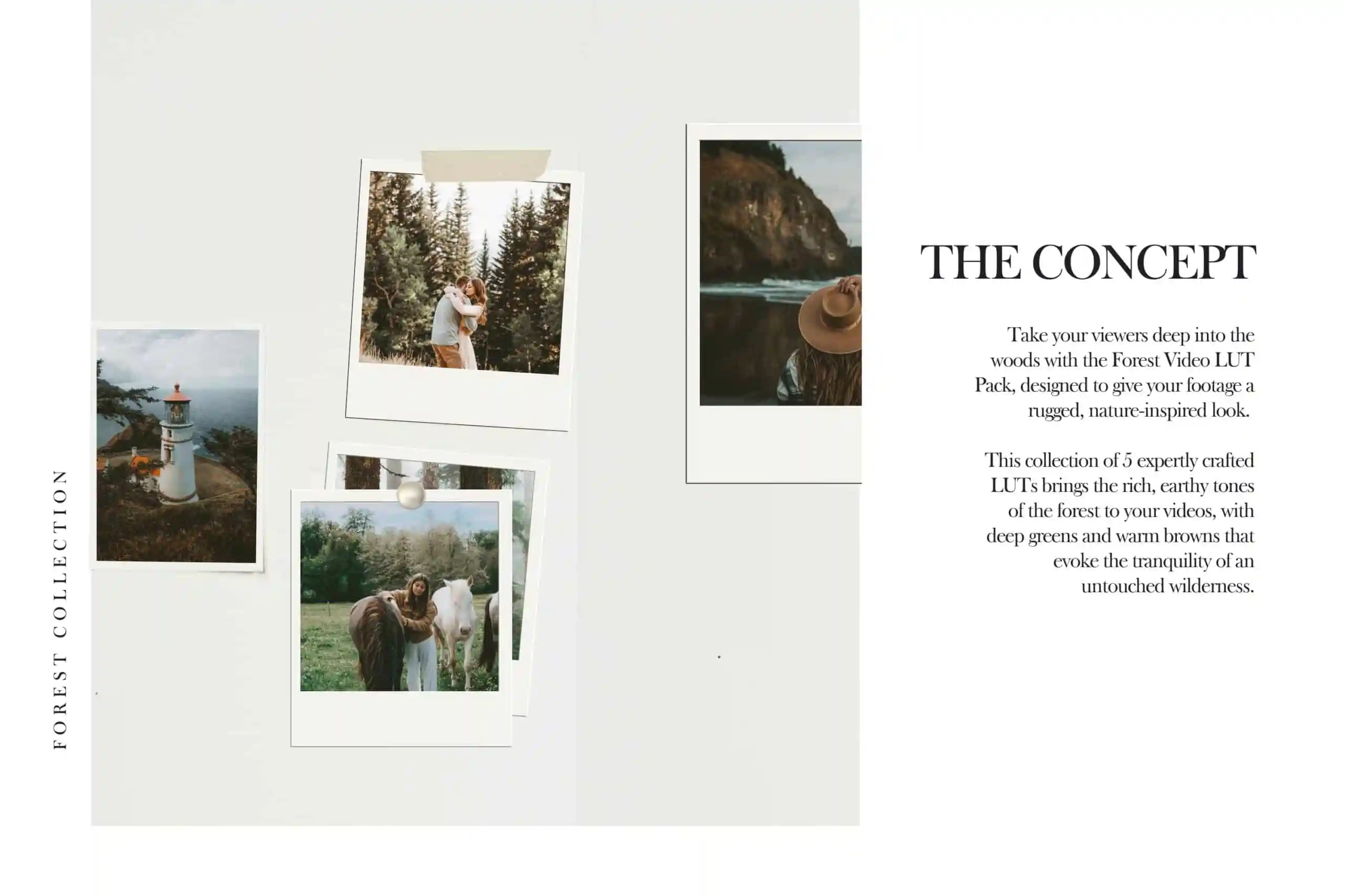 5 Forest Mobile Video Filters 3 5 Forest Mobile Video Filters - Image 3