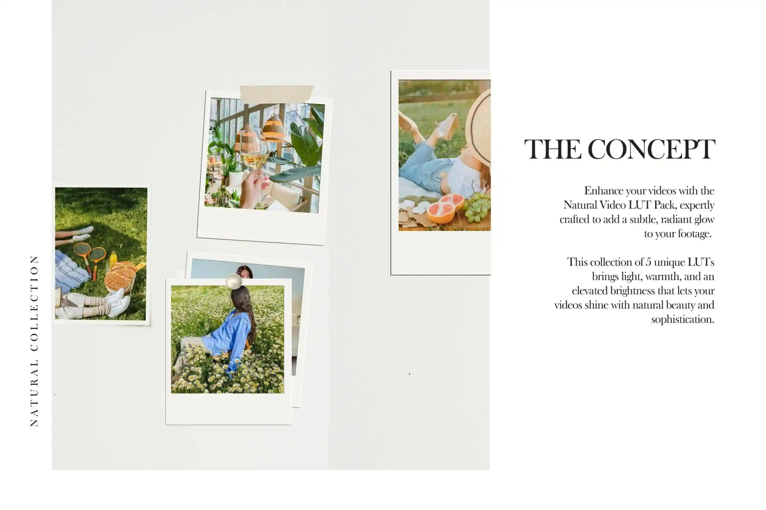 5 Natural Mobile Video Filters 3 5 Natural Mobile Video Filters - Image 3