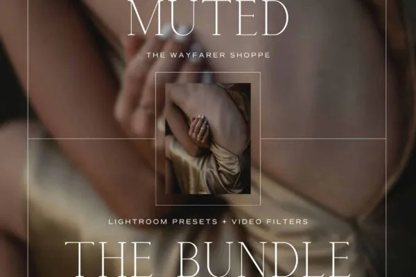 Muted Lightroom Presets + Video Filters Bundle