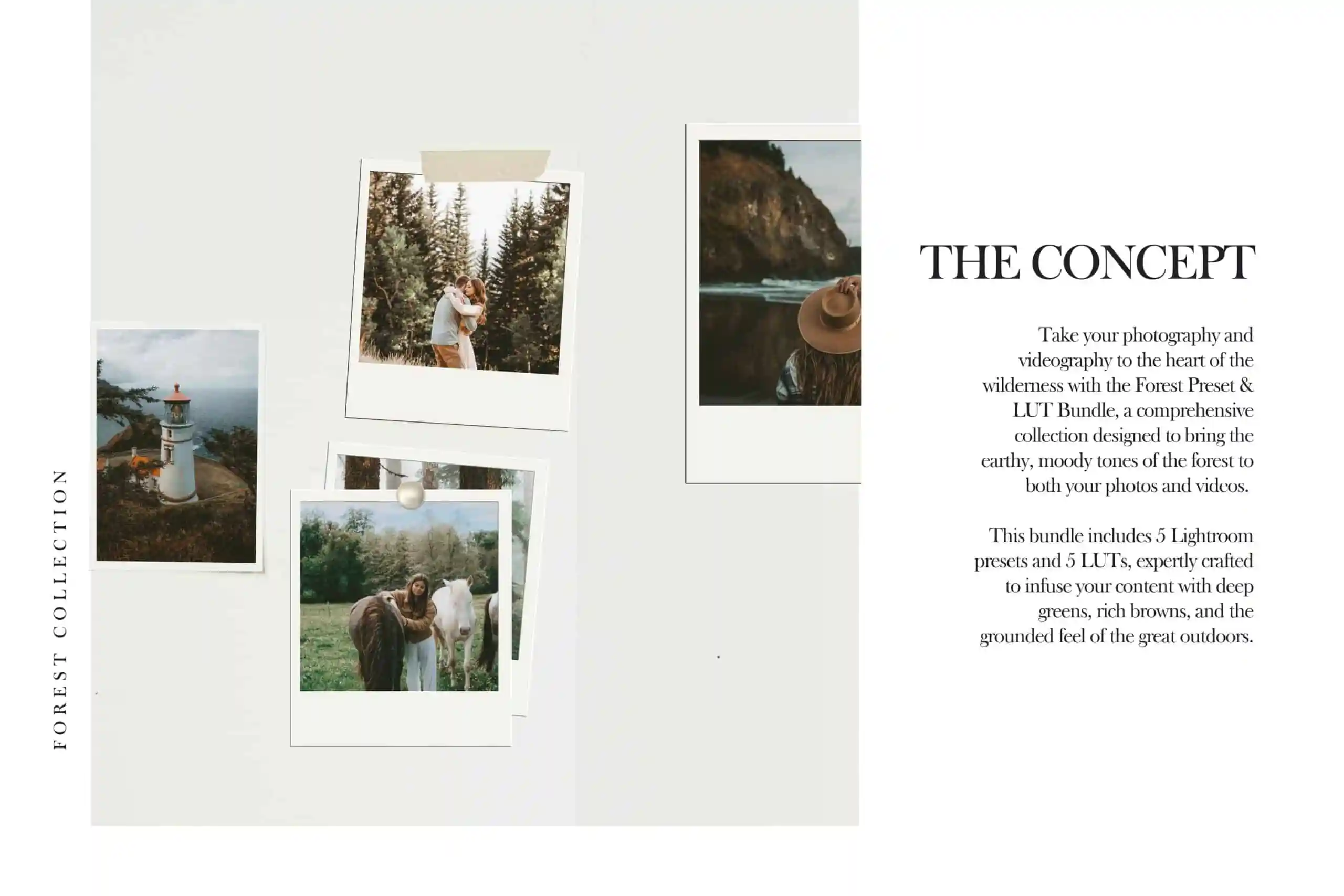 Forest Lightroom Presets + Video Filters Bundle - Image 3