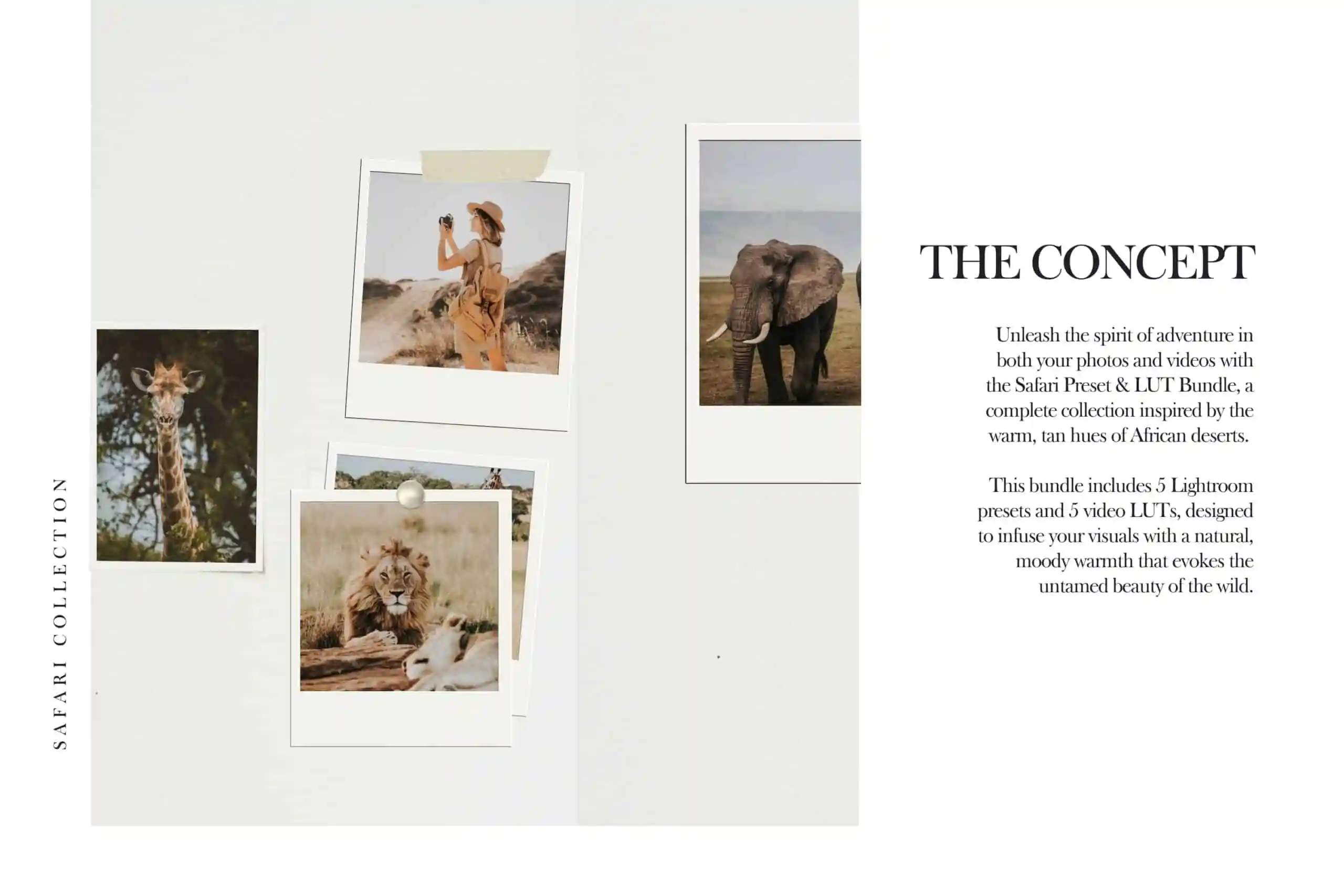 Safari Lightroom Presets + Video Filters Bundle 3 Safari Lightroom Presets + Video Filters Bundle - Image 3