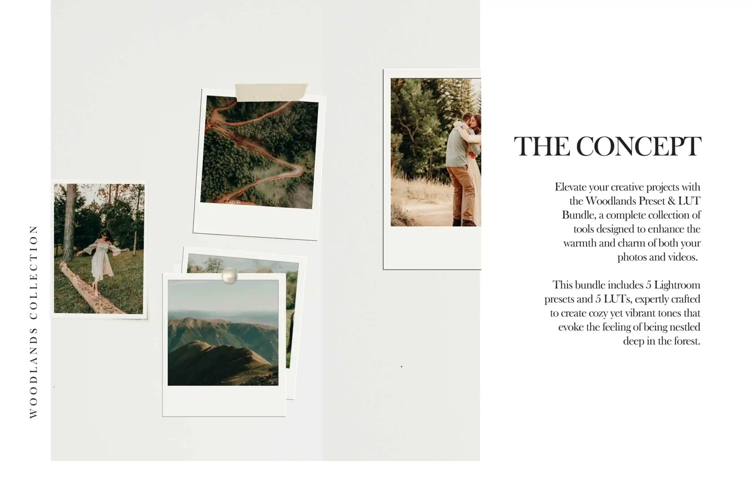 Woodlands Lightroom Presets + Video Filters Bundle - Image 3