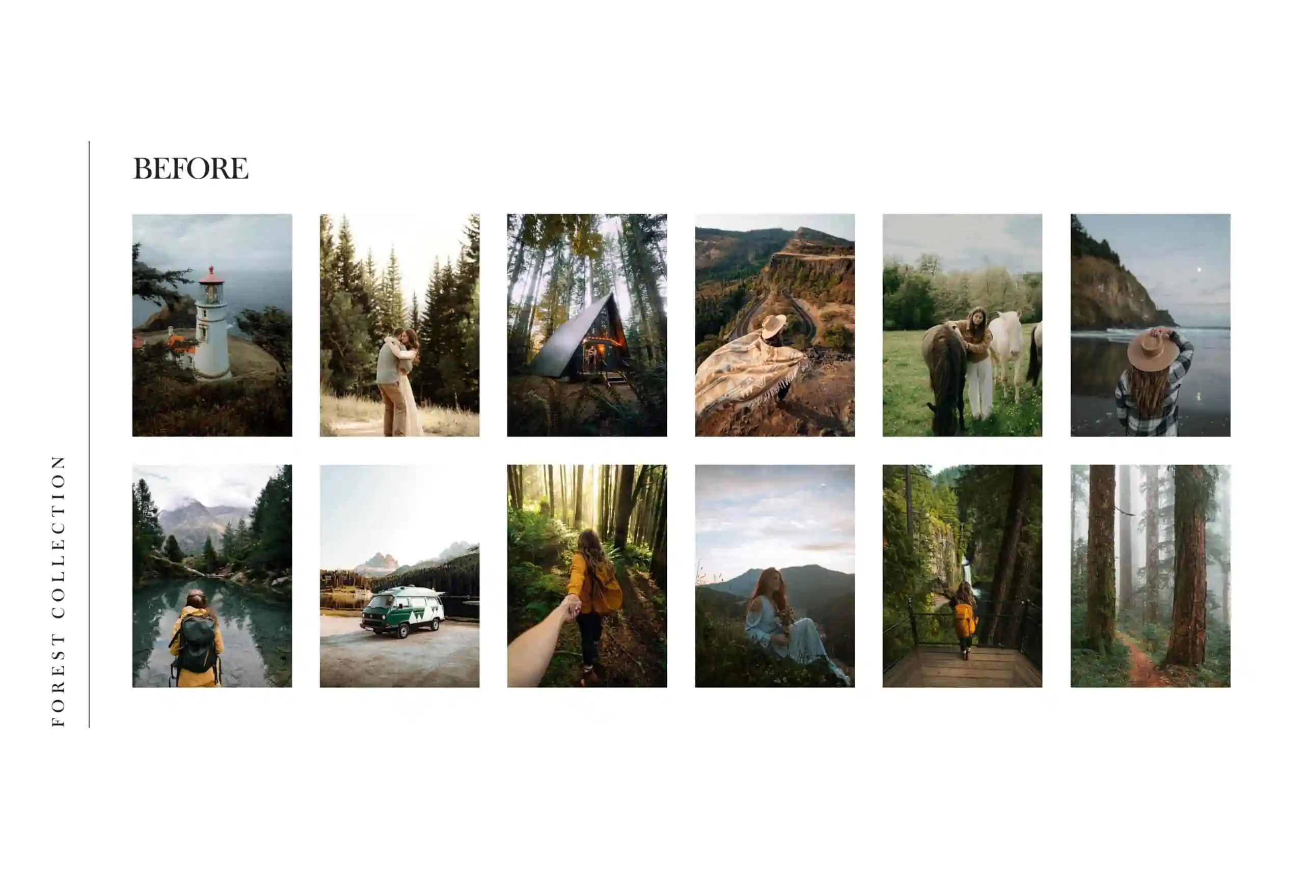 Forest Lightroom Presets + Video Filters Bundle - Image 4