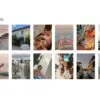 Summer Lightroom Presets + Video Filters Bundle - Image 4