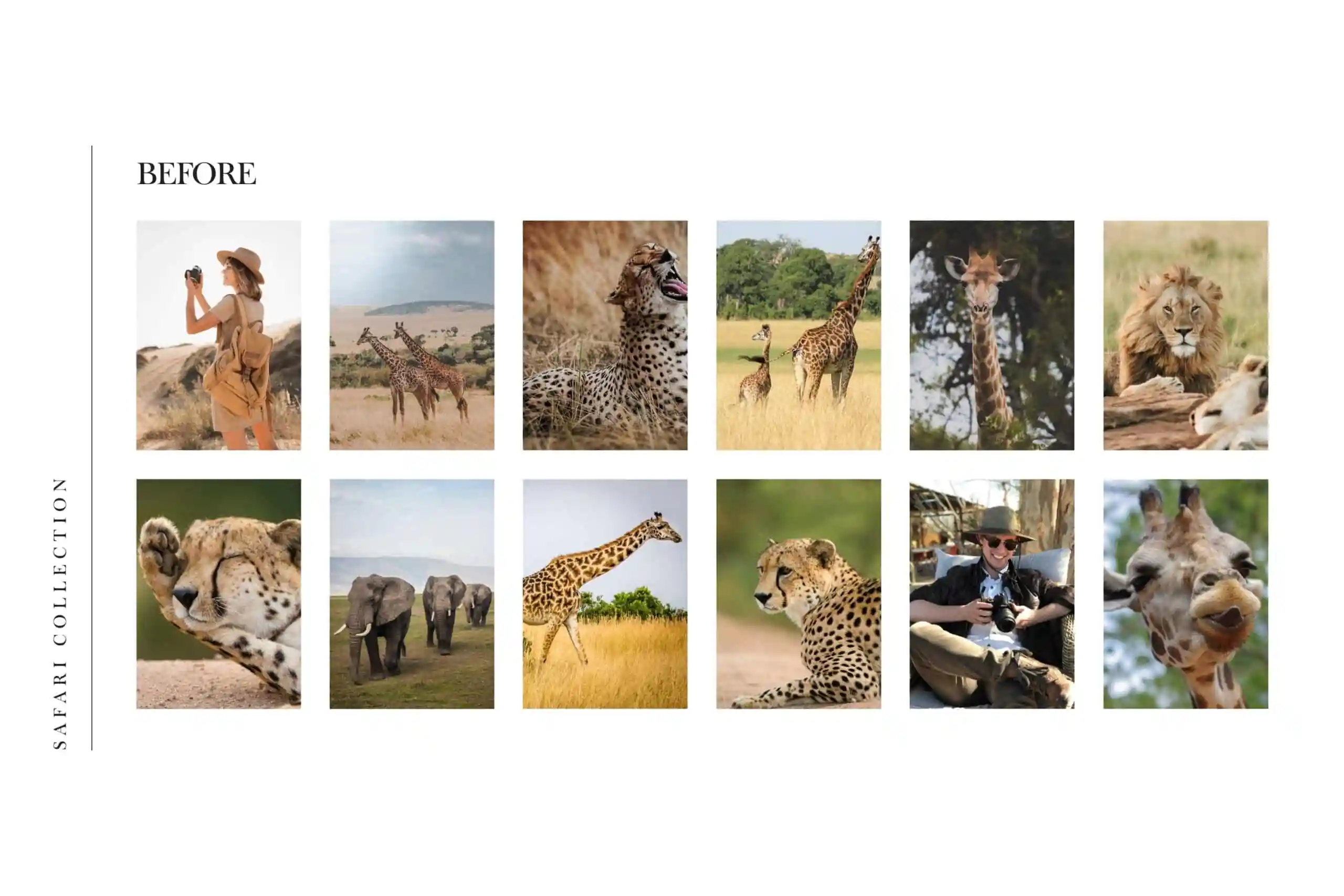 5 Safari Lightroom Presets | Mobile + Desktop 3 5 Safari Lightroom Presets | Mobile + Desktop - Image 3