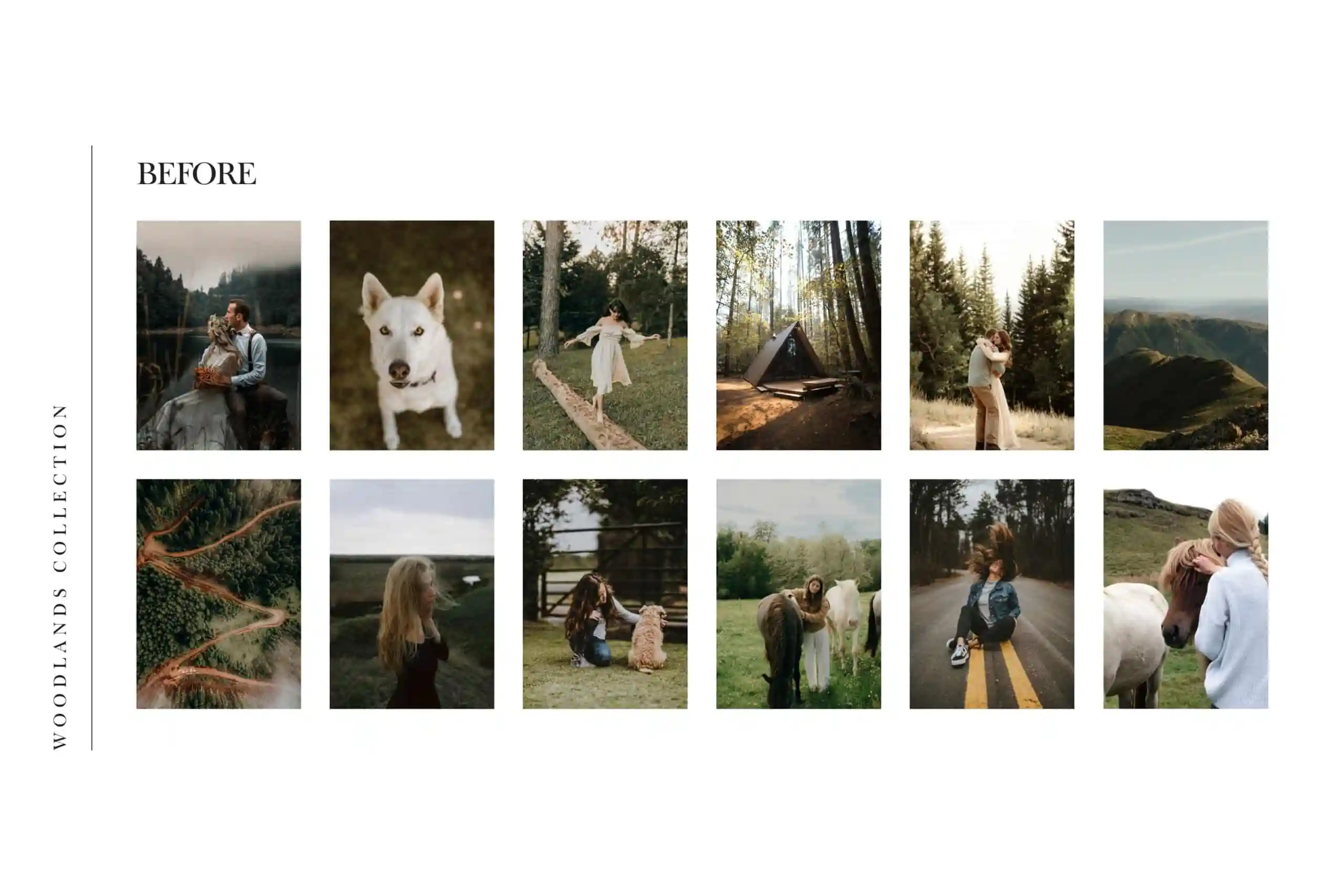 5 Woodlands Mobile Video Filters 4 5 Woodlands Mobile Video Filters - Image 4