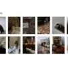 Blogger Lightroom Presets + Video Filters Bundle - Image 4