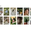 5 Aesthetics Mobile Video Filters - Image 4