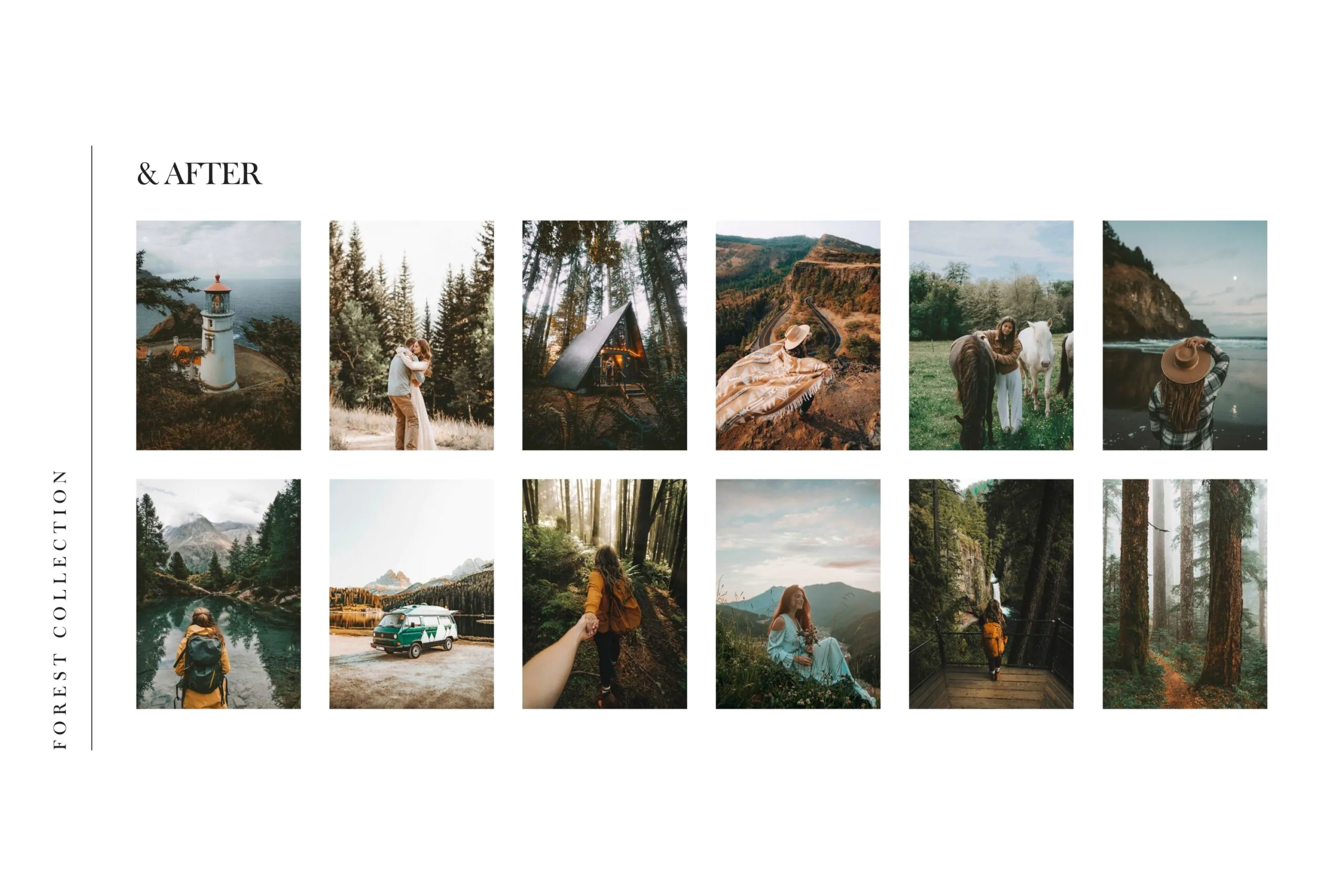 Forest Lightroom Presets + Video Filters Bundle - Image 5