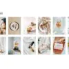 5 Products Lightroom Presets | Mobile + Desktop - Image 4