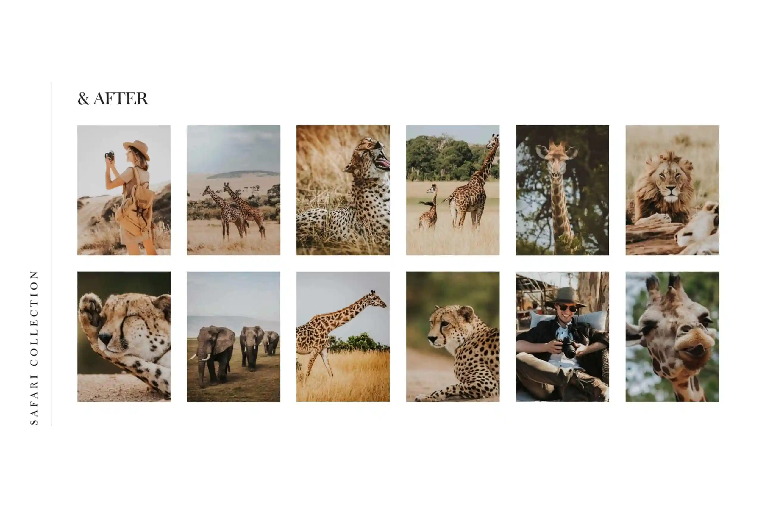 5 Safari Lightroom Presets | Mobile + Desktop 4 5 Safari Lightroom Presets | Mobile + Desktop - Image 4