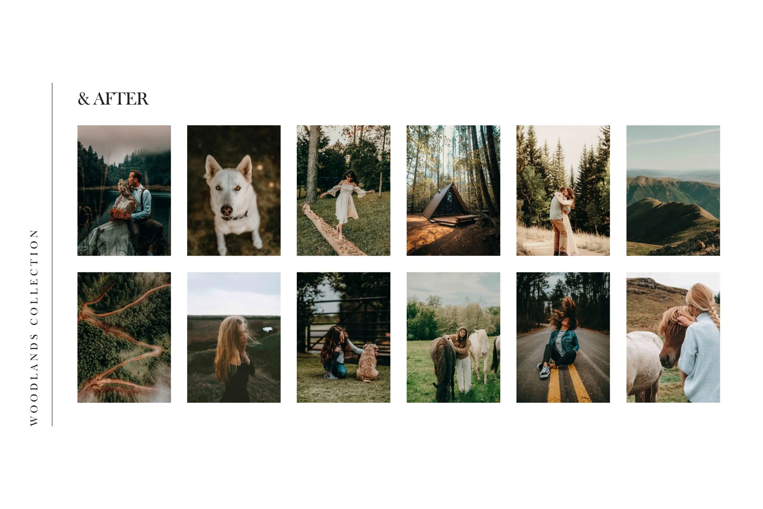 5 Woodlands Mobile Video Filters 5 5 Woodlands Mobile Video Filters - Image 5