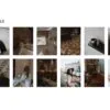 Blogger Lightroom Presets + Video Filters Bundle - Image 5