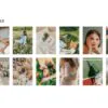 5 Aesthetics Mobile Video Filters - Image 5
