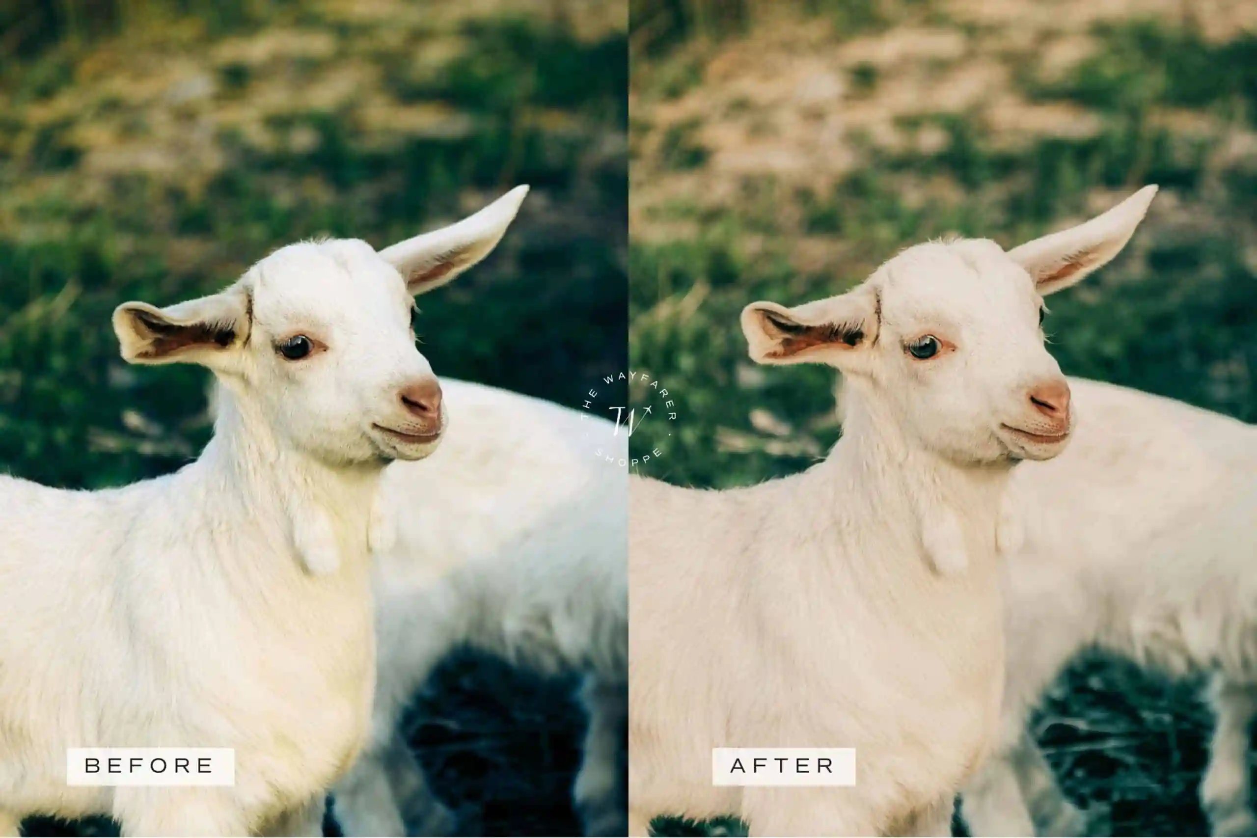 5 Cottagecore Lightroom Presets | Mobile + Desktop 6 5 Cottagecore Lightroom Presets | Mobile + Desktop - Image 6