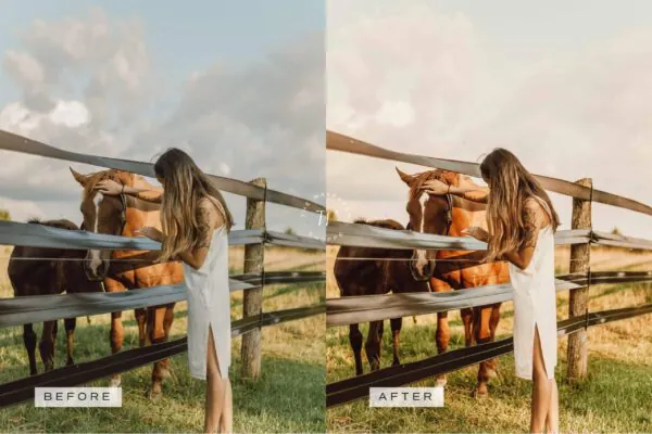 5 Honey Mobile Video Filters - Image 6