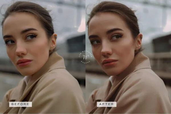 Lifestyle Lightroom Presets + Video Filters Bundle - Image 6
