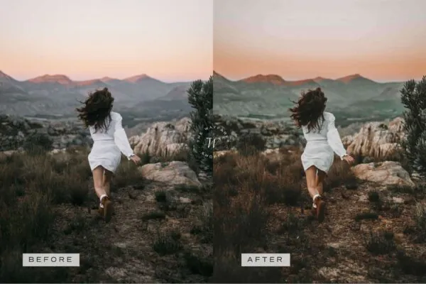 5 Pacific Northwest Mobile Video Filters - Image 6