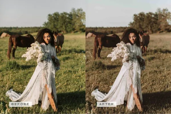 5 Rustic Lightroom Presets | Mobile + Desktop - Image 5