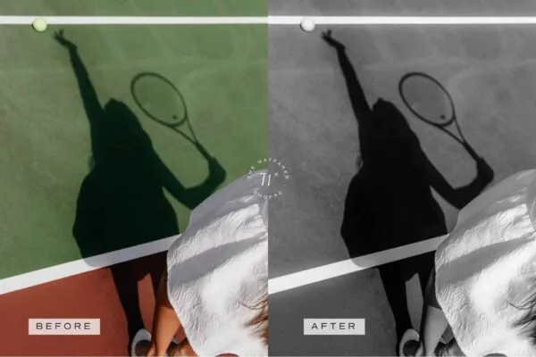 Timeless Lightroom Presets + Video Filters Bundle - Image 6