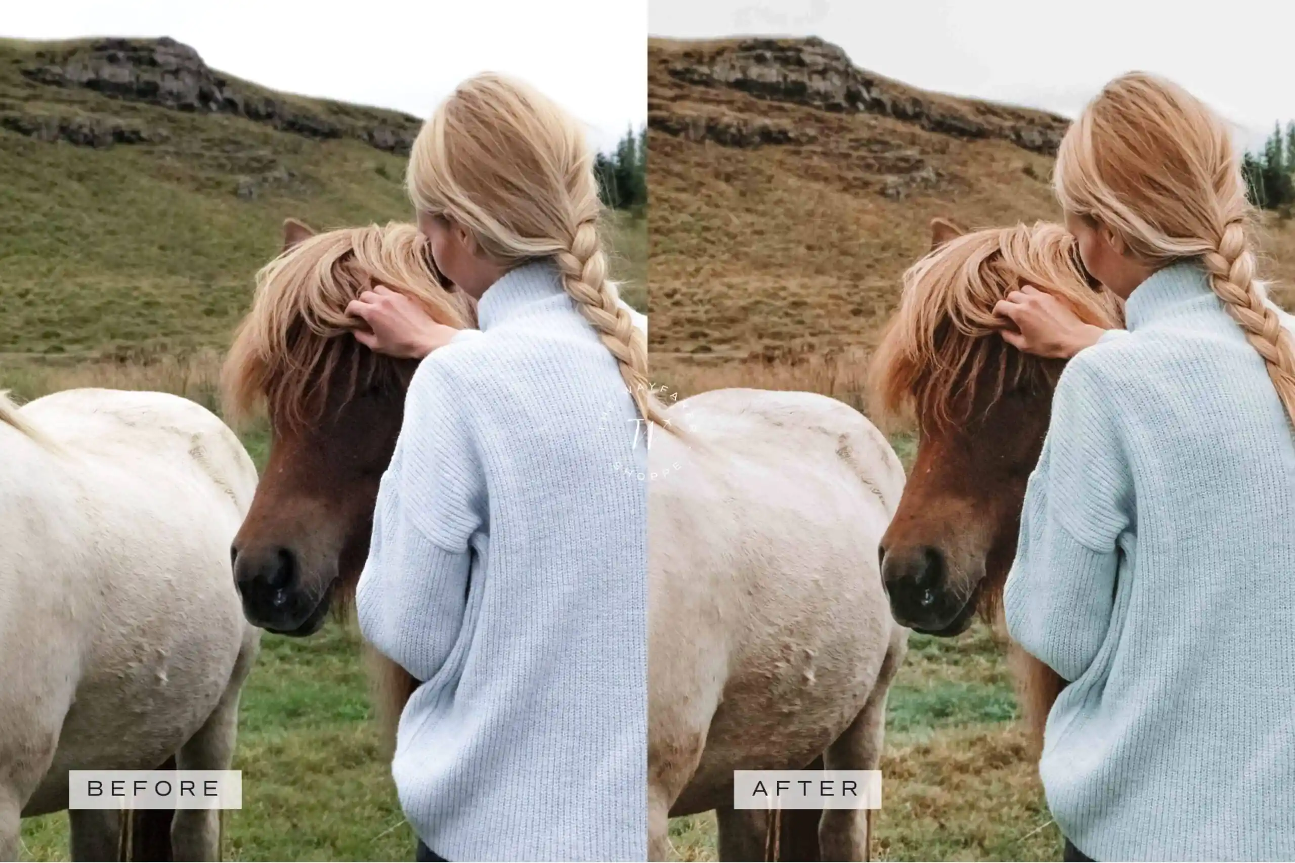 5 Woodlands Mobile Video Filters 6 5 Woodlands Mobile Video Filters - Image 6