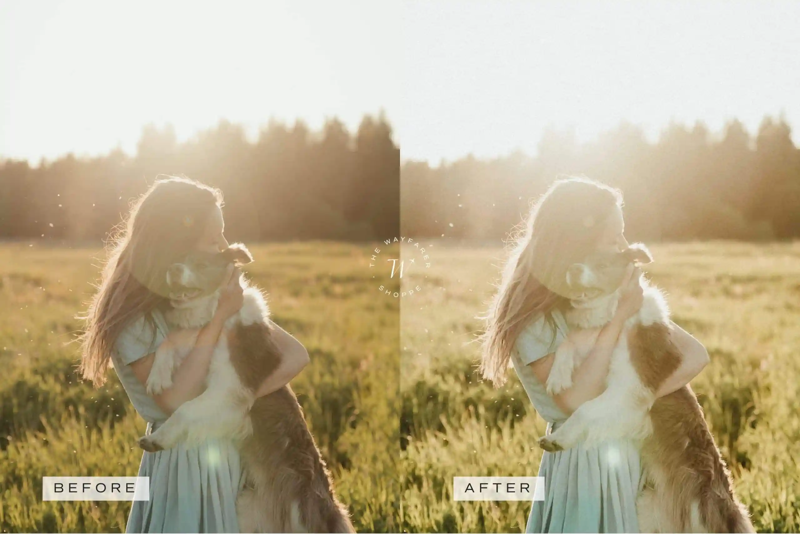 5 Classics Mobile Video Filters - Image 6