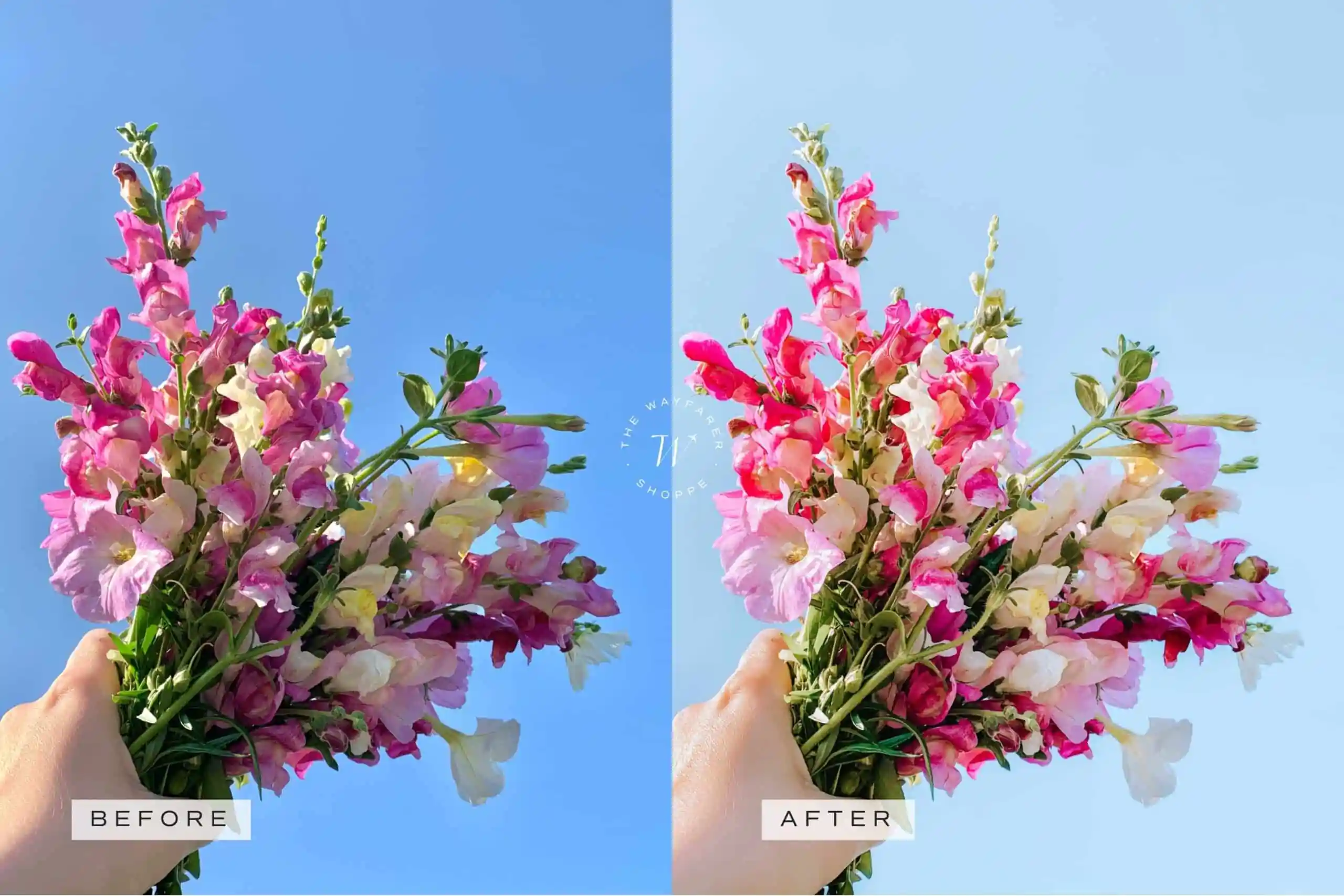 5 Creamy Mobile Video Filters 6 5 Creamy Mobile Video Filters - Image 6