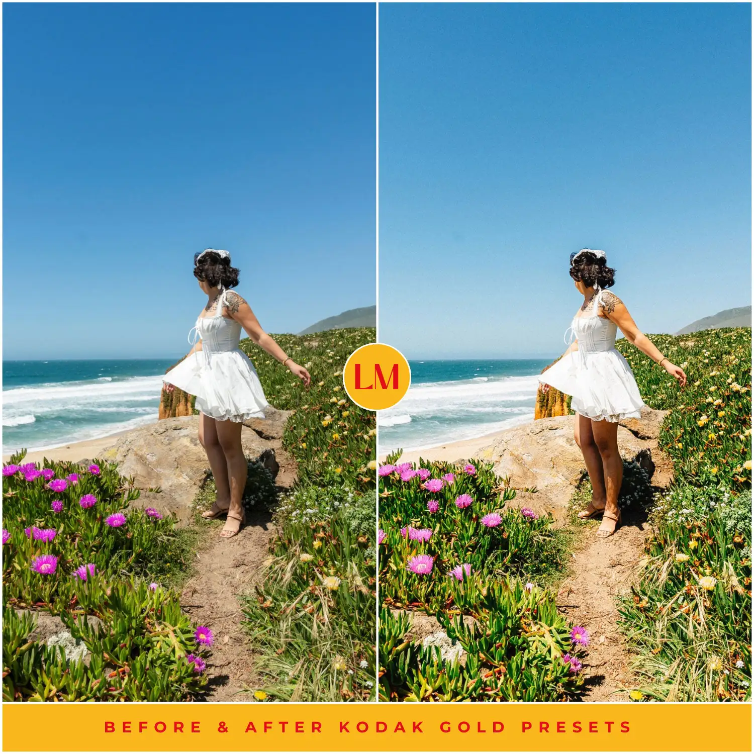 Kodak Gold 200 Film Preset Collection - Image 6