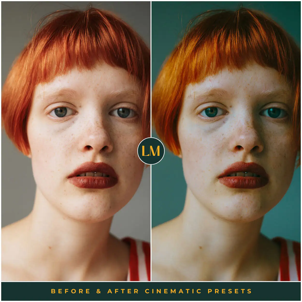 Cinematic Preset Collection - Image 6