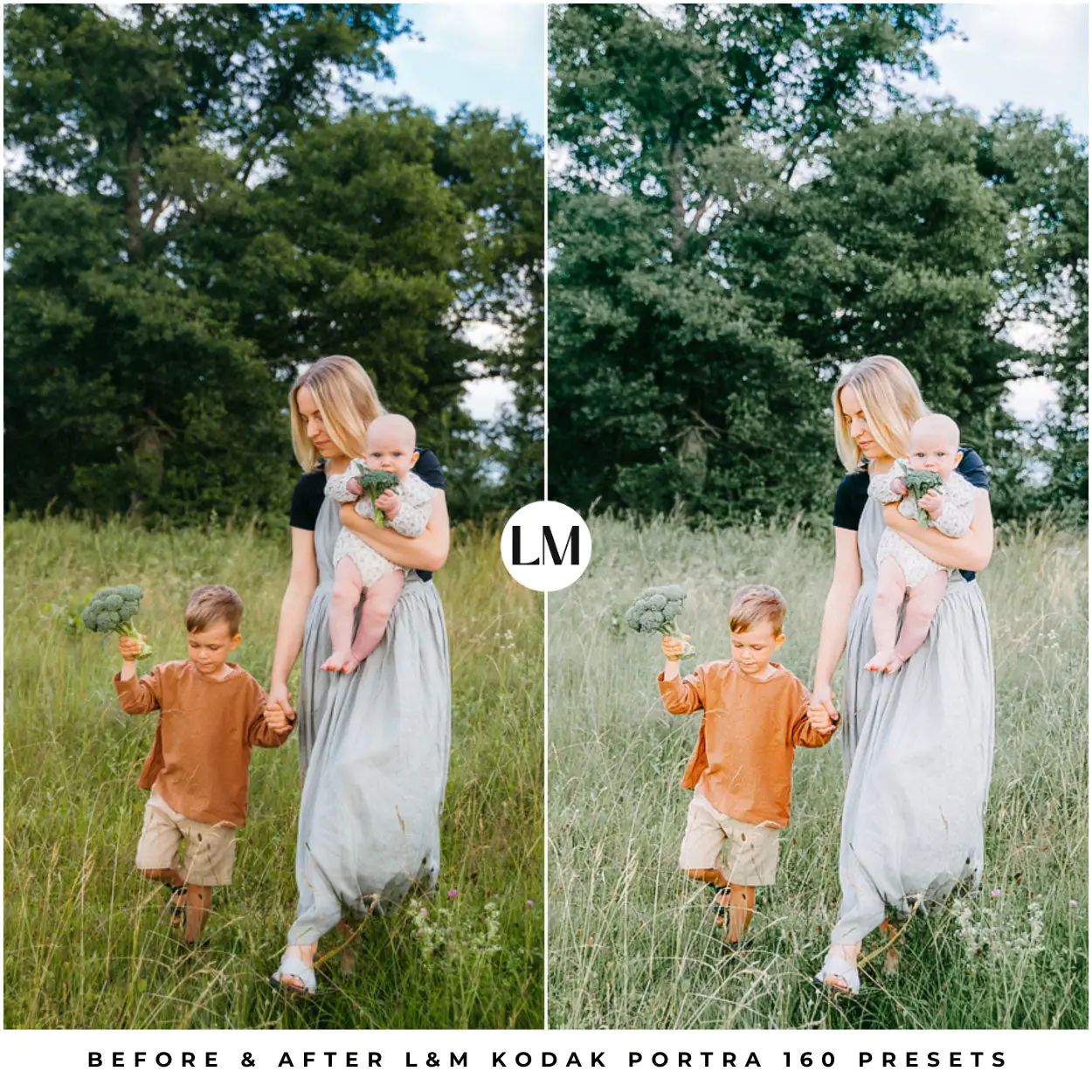 Kodak Portra 160 Film Preset Collection - Image 3