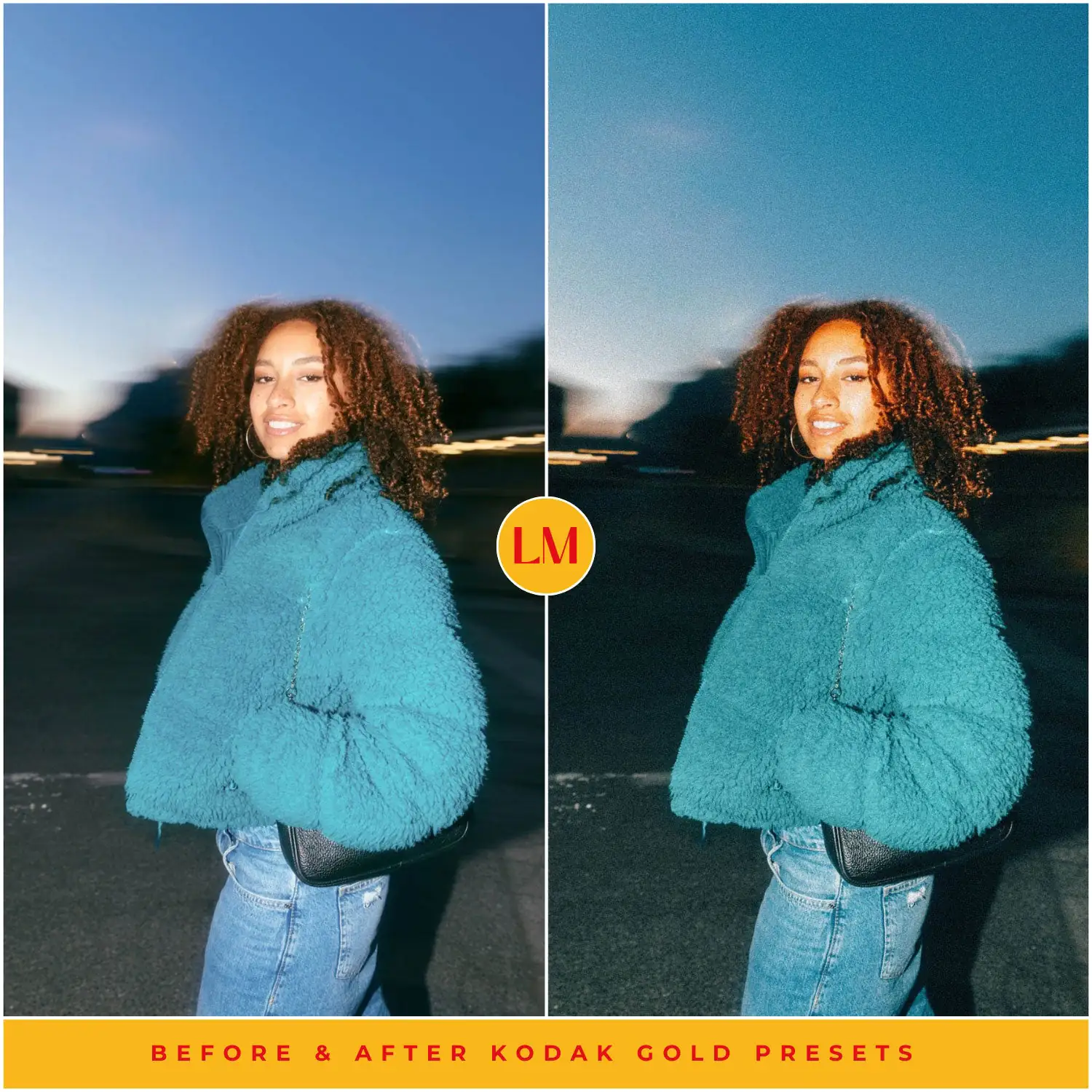 Kodak Gold 200 Film Preset Collection - Image 21